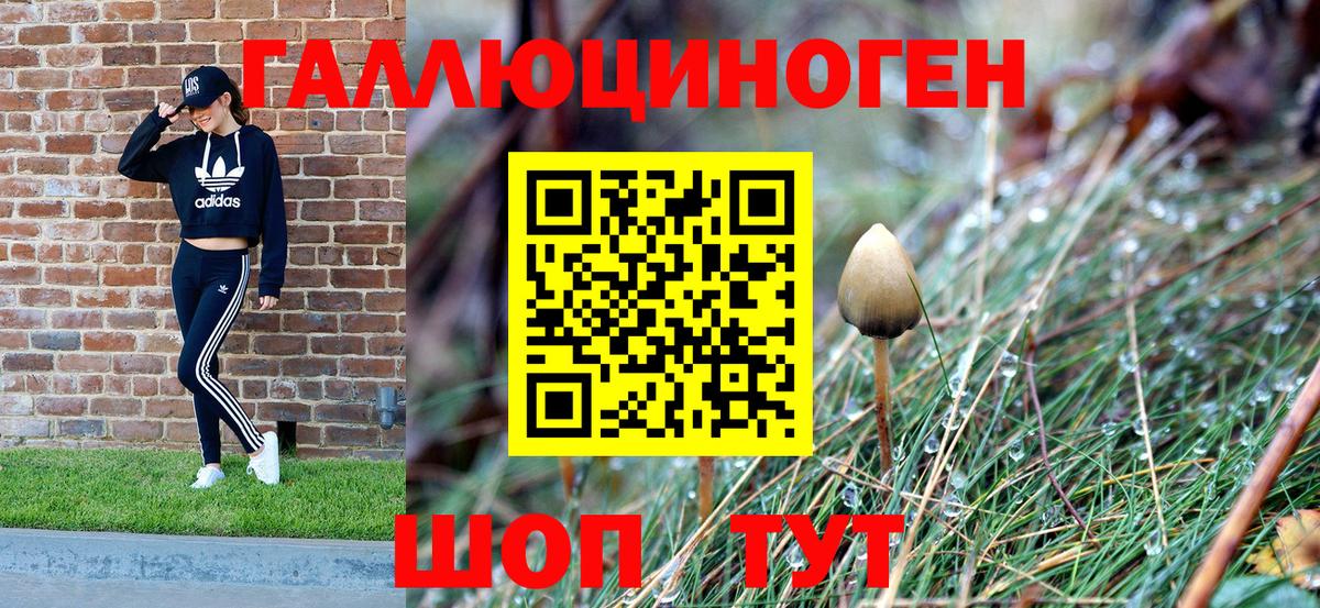 Псилоцибиновые грибы Magic Shrooms  Вход с VPN  Галлюциногенные грибы Cubensis  купить  цена  Саяногорск 